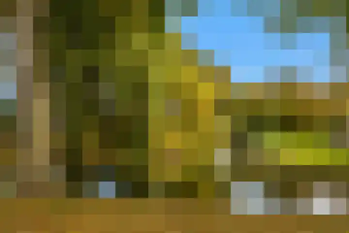 Weyerland 105 Rockanje thumbnail 31