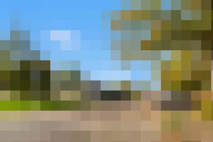 Weyerland 105 Rockanje thumbnail 6
