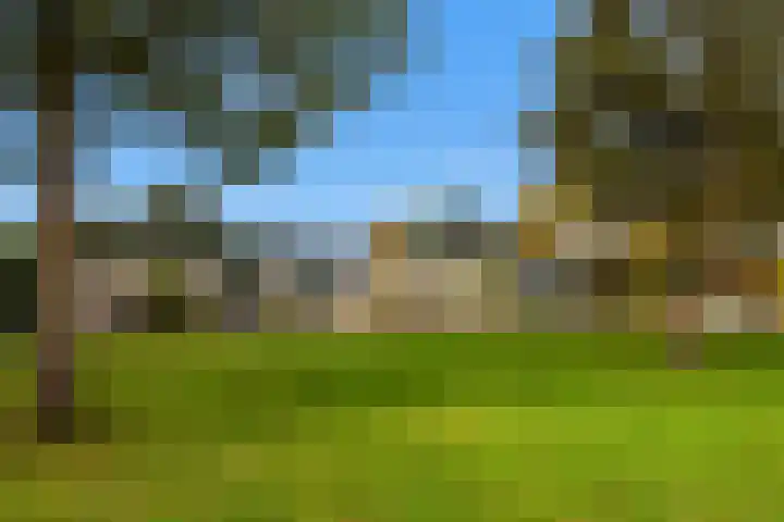 Weyerland 105 Rockanje thumbnail 7