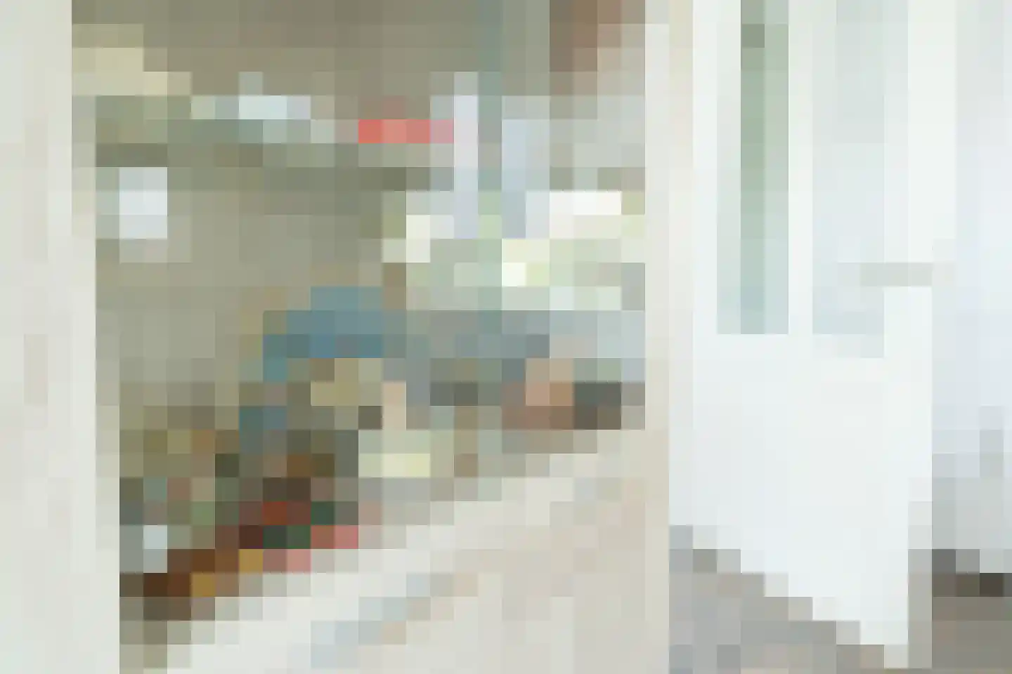 Weyerland 91 Rockanje thumbnail 12