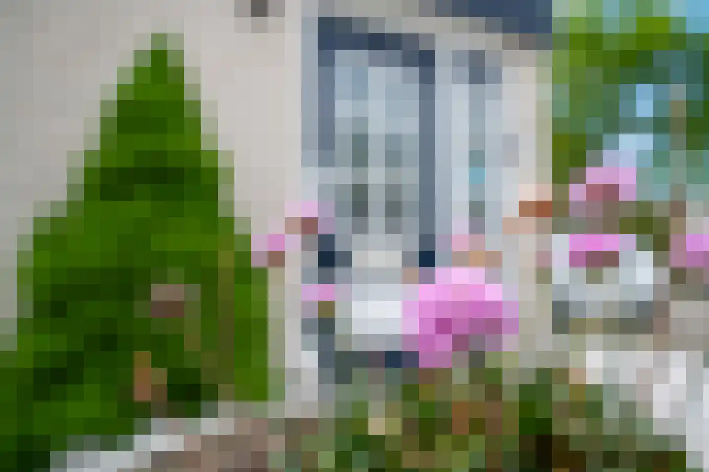 Weyerland 91 Rockanje thumbnail 65