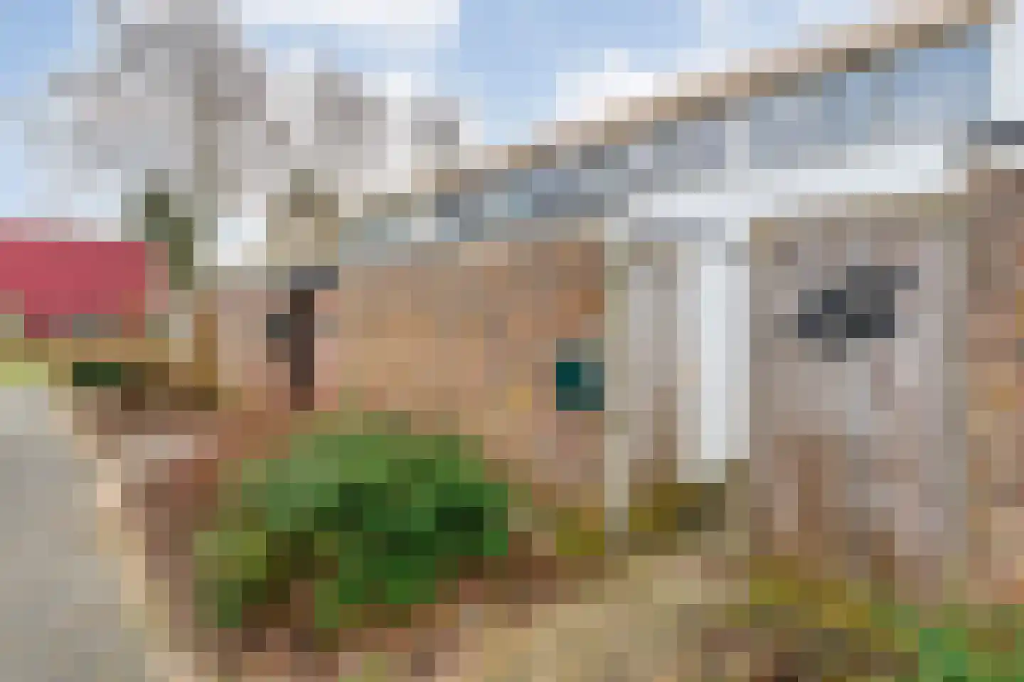 Weytackers 14 Emmen thumbnail 4