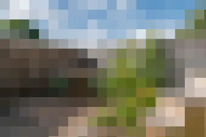 Weytackers 64 Emmen thumbnail 37
