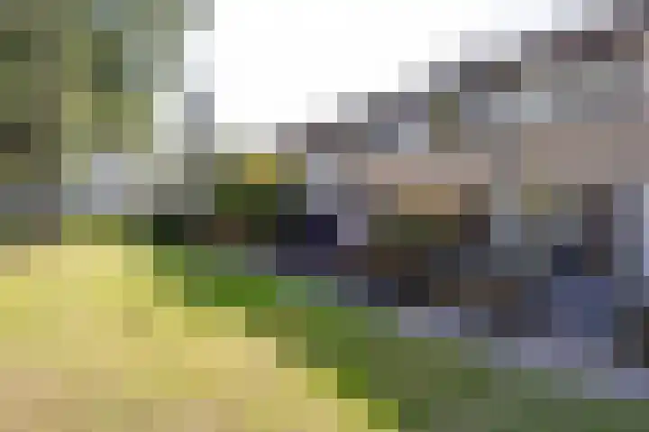 Weytackers 64 Emmen thumbnail 42