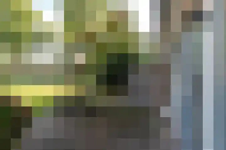 Weytackers 64 Emmen thumbnail 8