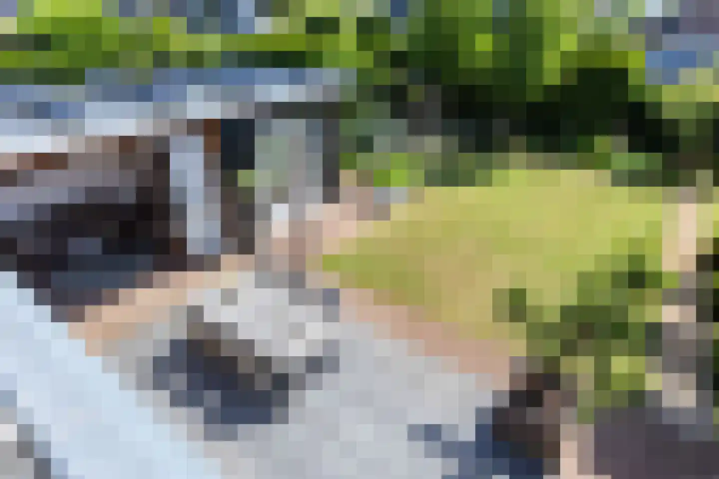 Wezel 14 Apeldoorn thumbnail 32