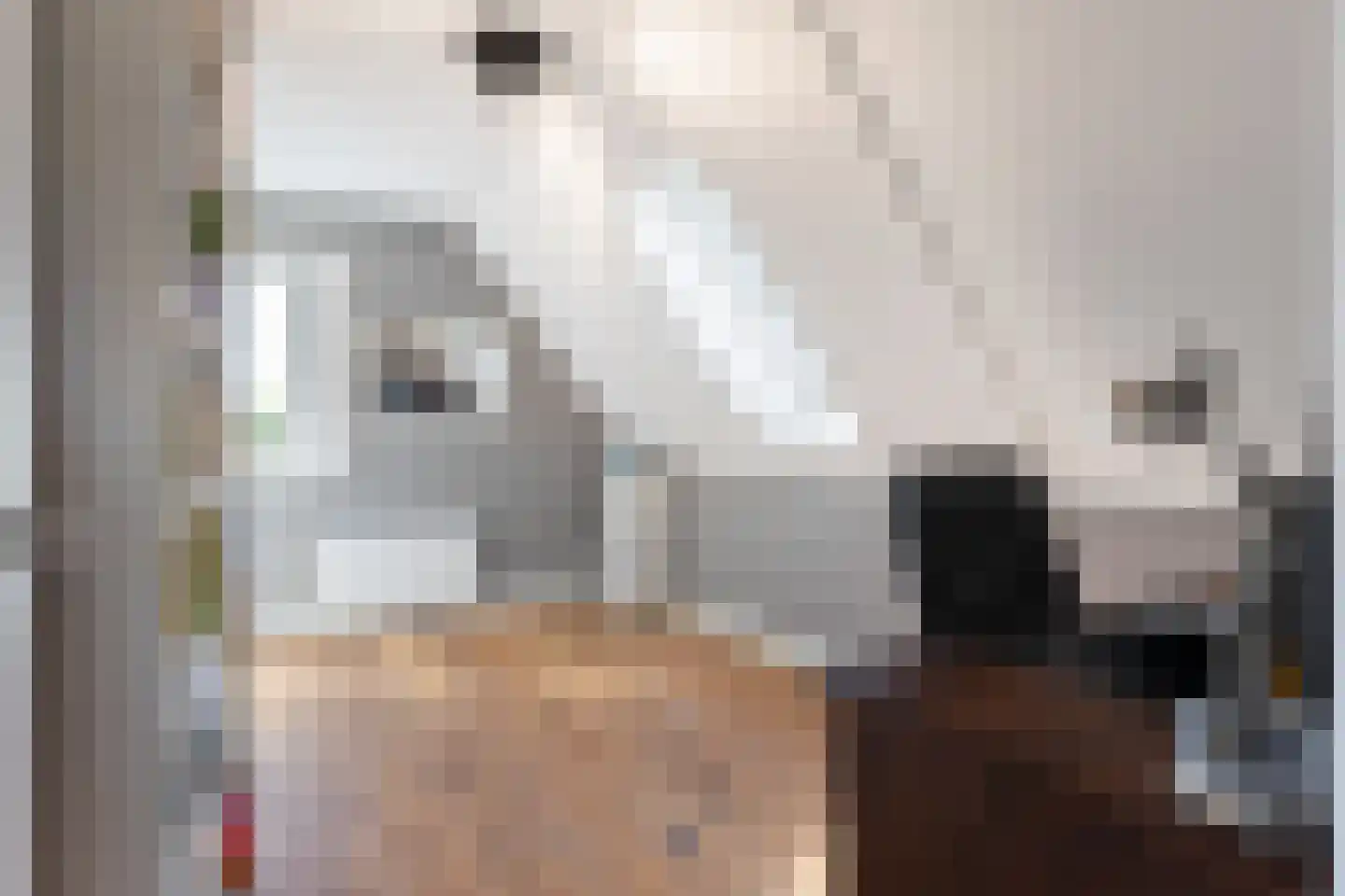 Wezel 14 Apeldoorn thumbnail 48