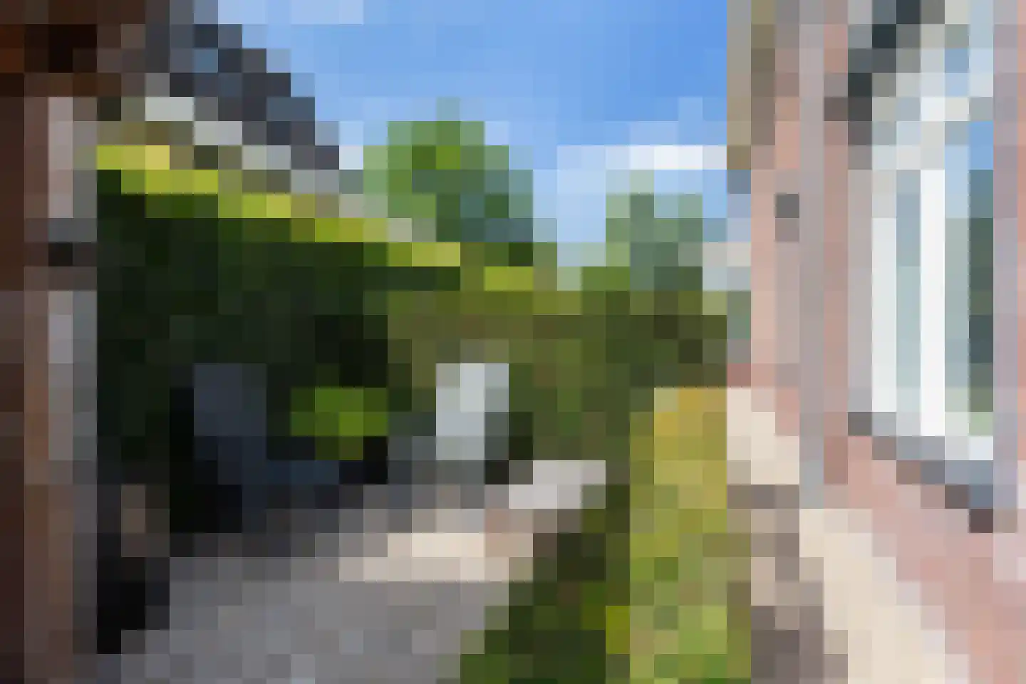 Wezel 14 Apeldoorn thumbnail 58