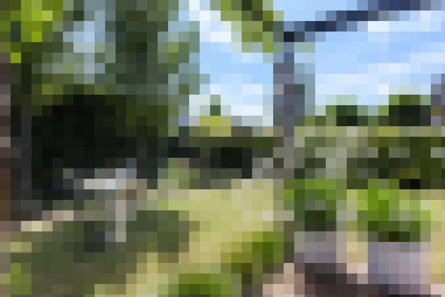 Wezel 14 Apeldoorn thumbnail 62