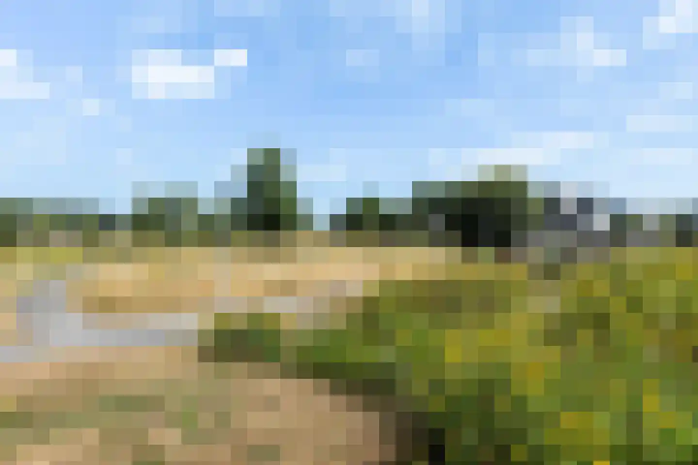 Wezel 14 Apeldoorn thumbnail 68