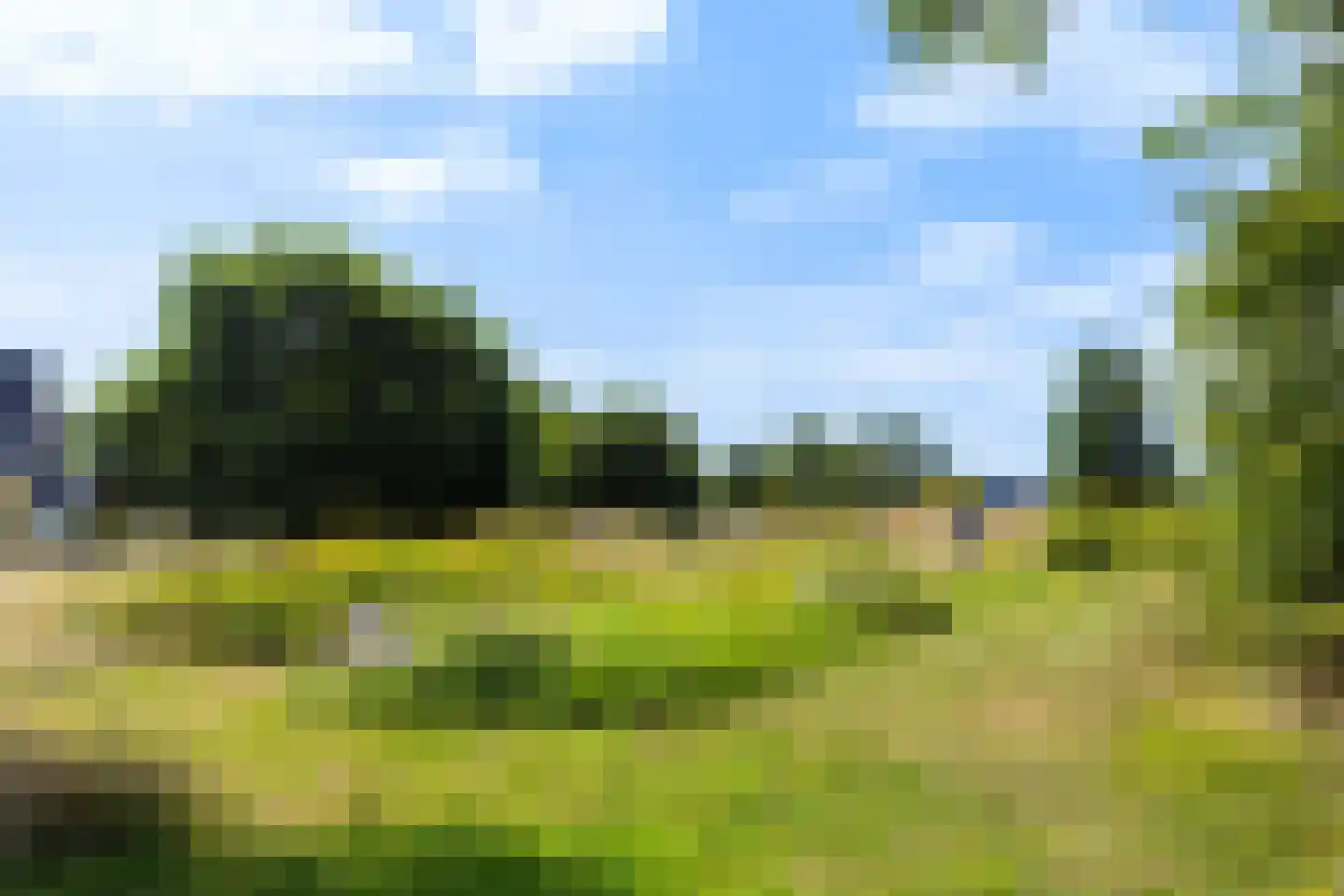 Wezel 14 Apeldoorn thumbnail 69