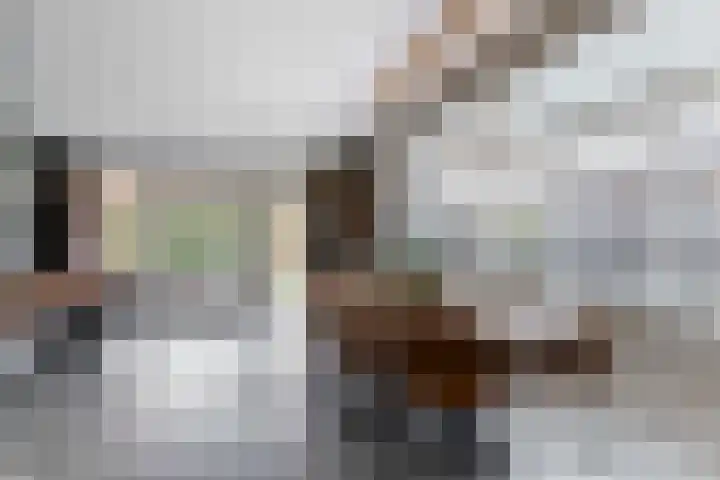 Wezel 30 Apeldoorn thumbnail 13