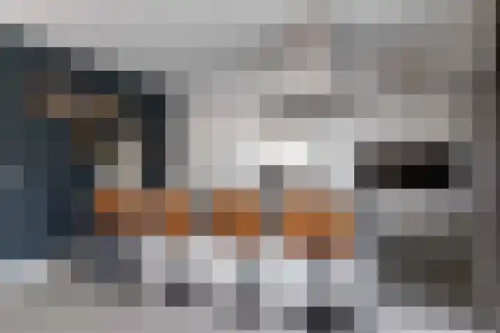 Wezel 30 Apeldoorn thumbnail 15