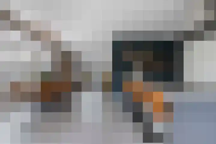 Wezel 30 Apeldoorn thumbnail 16