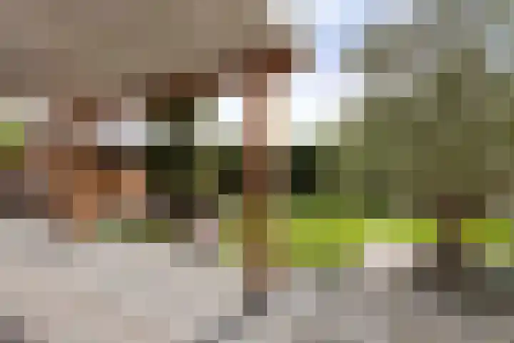 Wezel 30 Apeldoorn thumbnail 20
