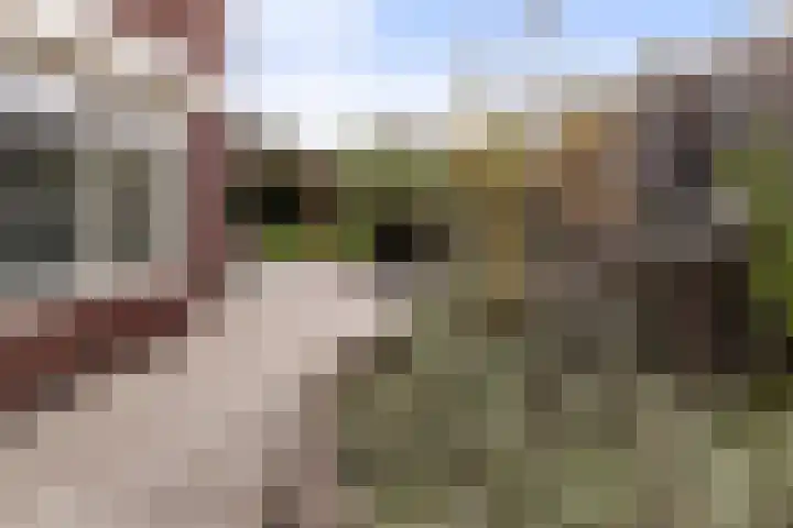 Wezel 30 Apeldoorn thumbnail 21