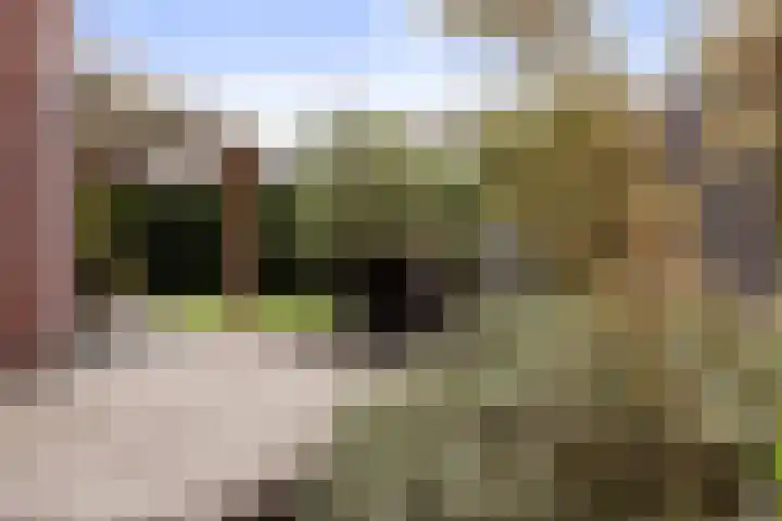 Wezel 30 Apeldoorn thumbnail 22