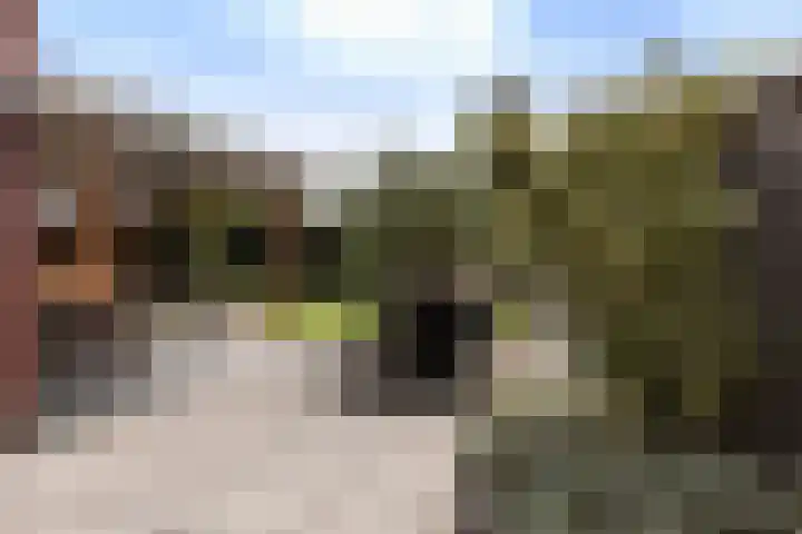 Wezel 30 Apeldoorn thumbnail 23