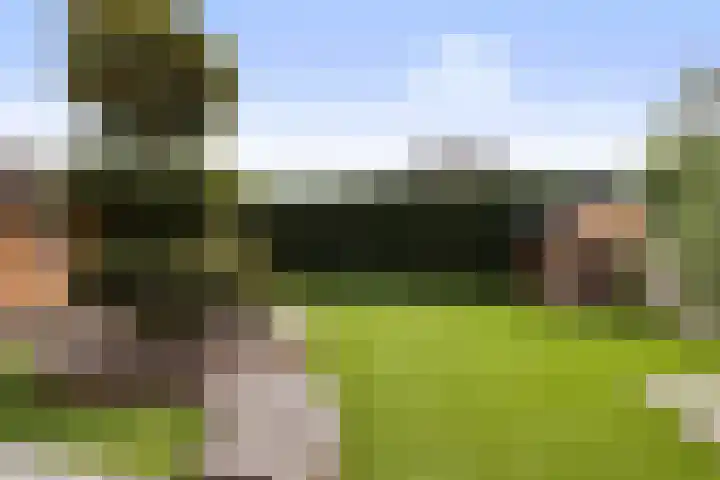Wezel 30 Apeldoorn thumbnail 25