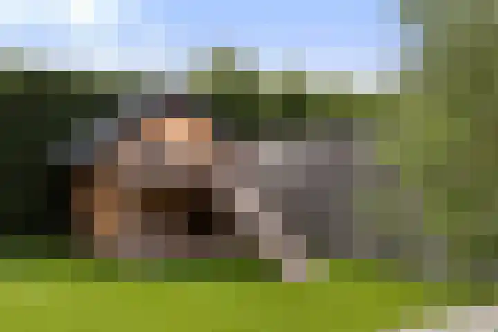 Wezel 30 Apeldoorn thumbnail 27