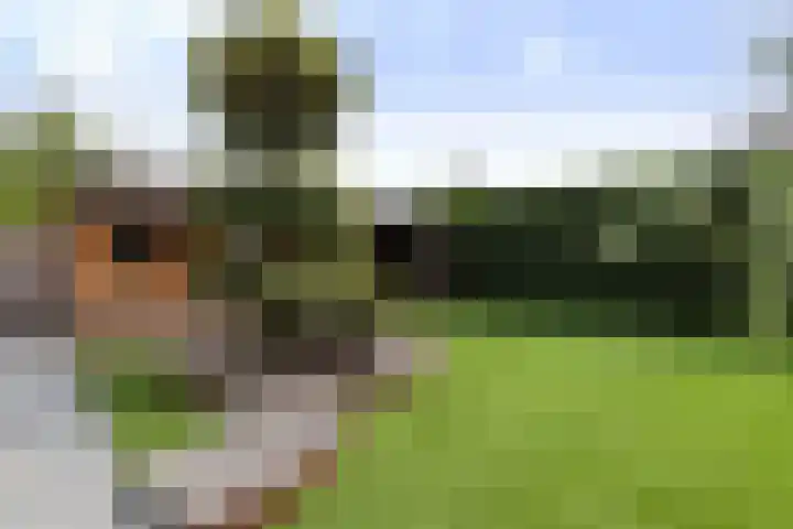 Wezel 30 Apeldoorn thumbnail 28