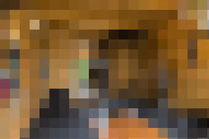 Wezel 30 Apeldoorn thumbnail 33