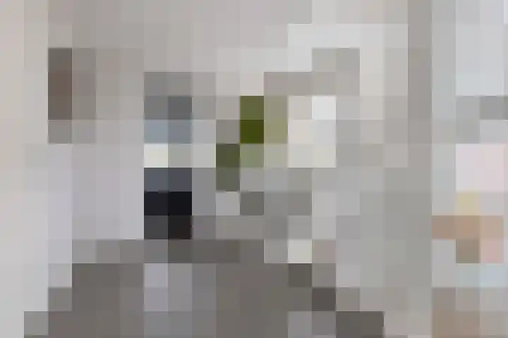 Wezel 30 Apeldoorn thumbnail 41