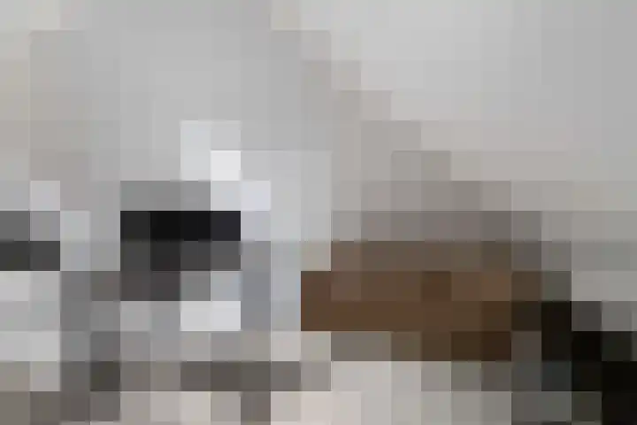 Wezel 30 Apeldoorn thumbnail 53