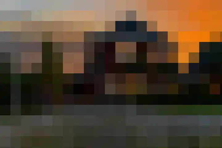 Wezel 30 Apeldoorn thumbnail 58