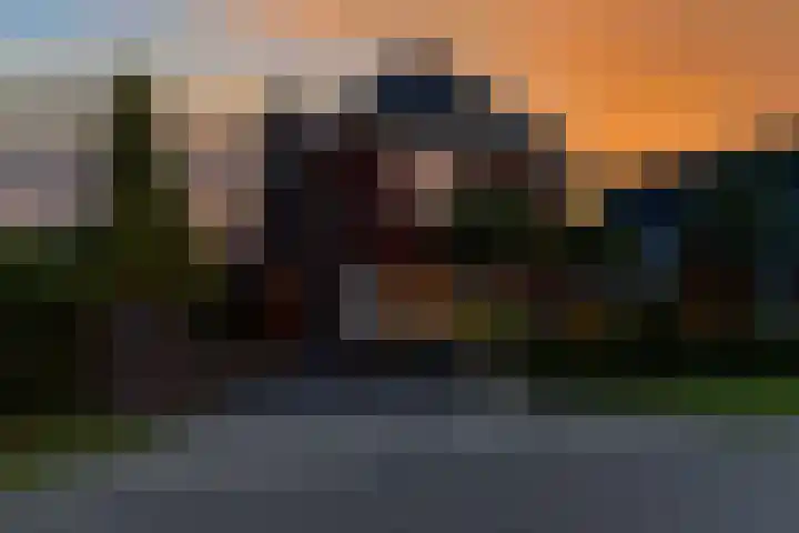 Wezel 30 Apeldoorn thumbnail 60