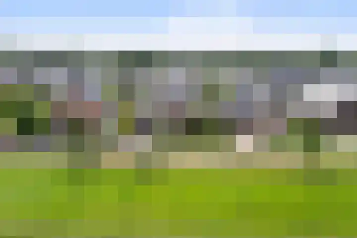 Wezel 30 Apeldoorn thumbnail 65