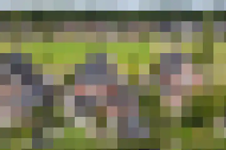 Wezel 30 Apeldoorn thumbnail 66