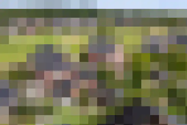 Wezel 30 Apeldoorn thumbnail 67