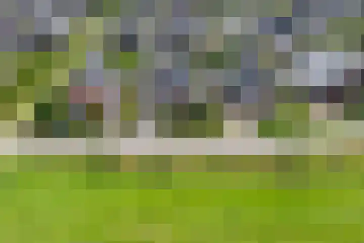 Wezel 30 Apeldoorn thumbnail 68