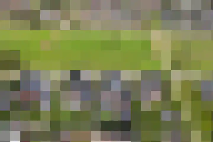Wezel 30 Apeldoorn thumbnail 69