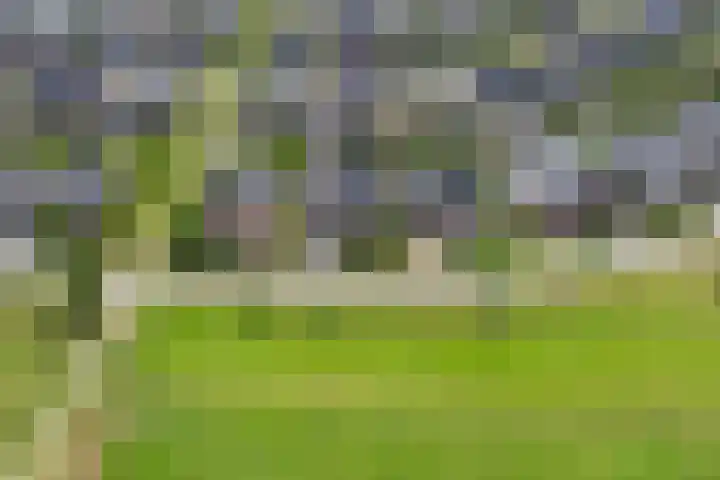 Wezel 30 Apeldoorn thumbnail 70