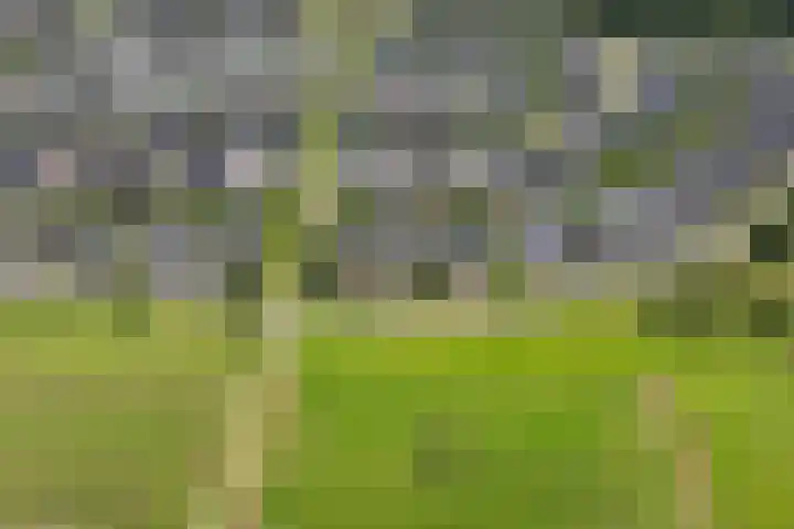Wezel 30 Apeldoorn thumbnail 72
