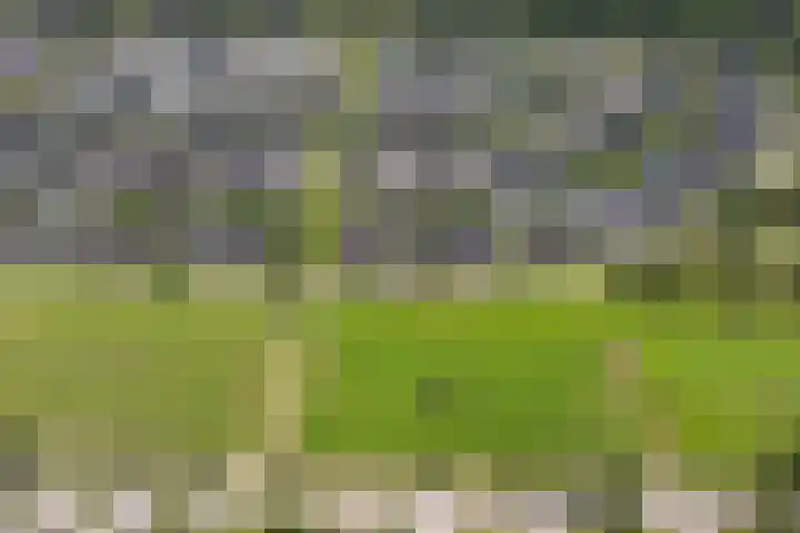 Wezel 30 Apeldoorn thumbnail 73