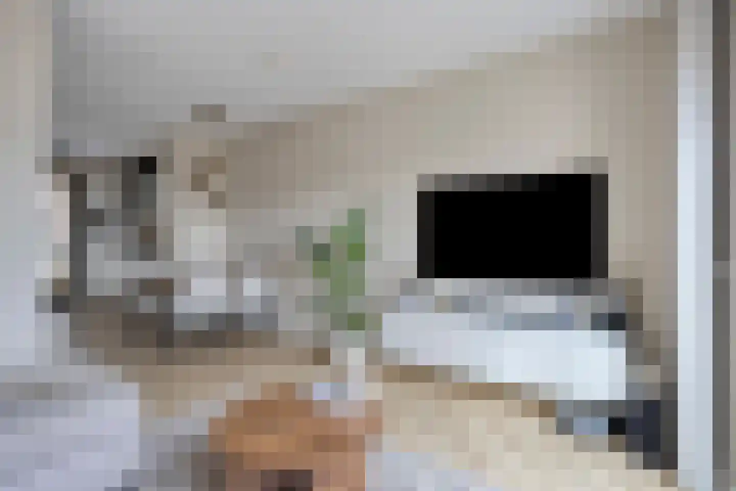 Wezel 4 Boxtel thumbnail 10