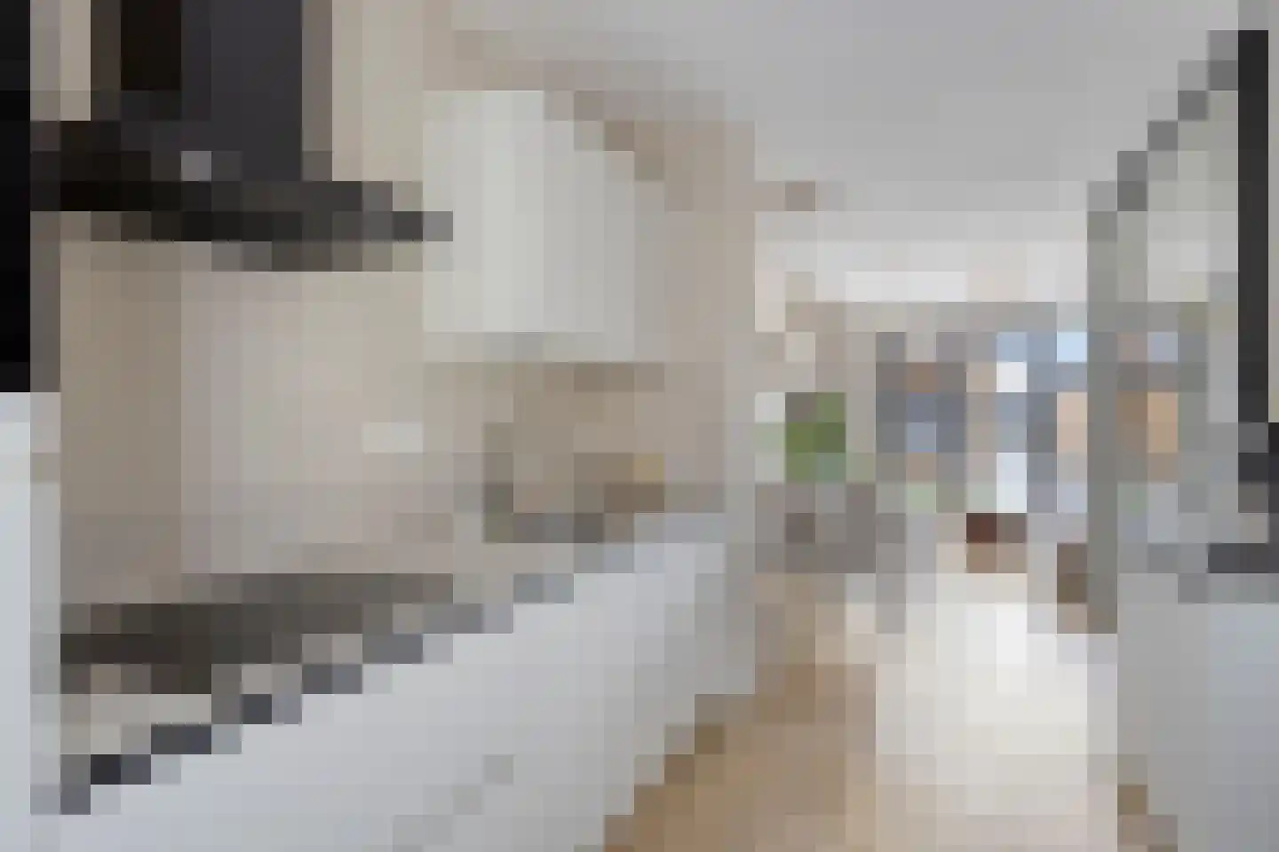 Wezel 4 Boxtel thumbnail 15