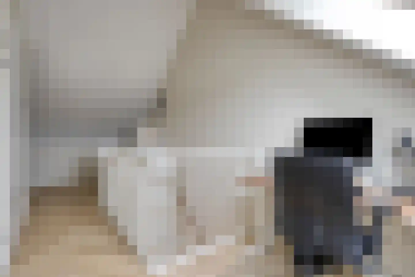 Wezel 4 Boxtel thumbnail 24