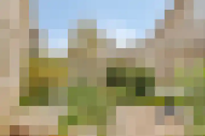 Wezel 59 Veldhoven thumbnail 31