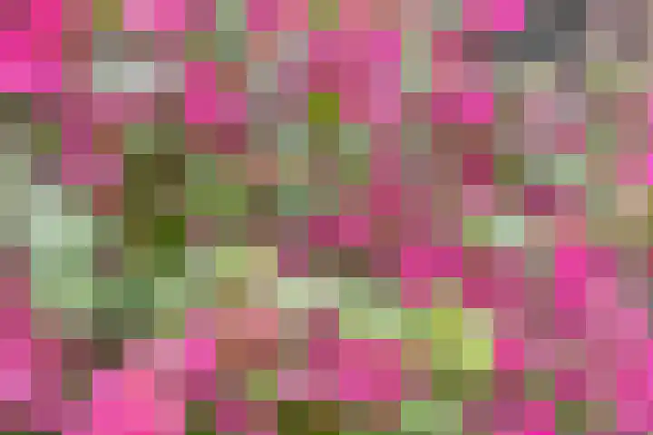 Wezel 59 Veldhoven thumbnail 35