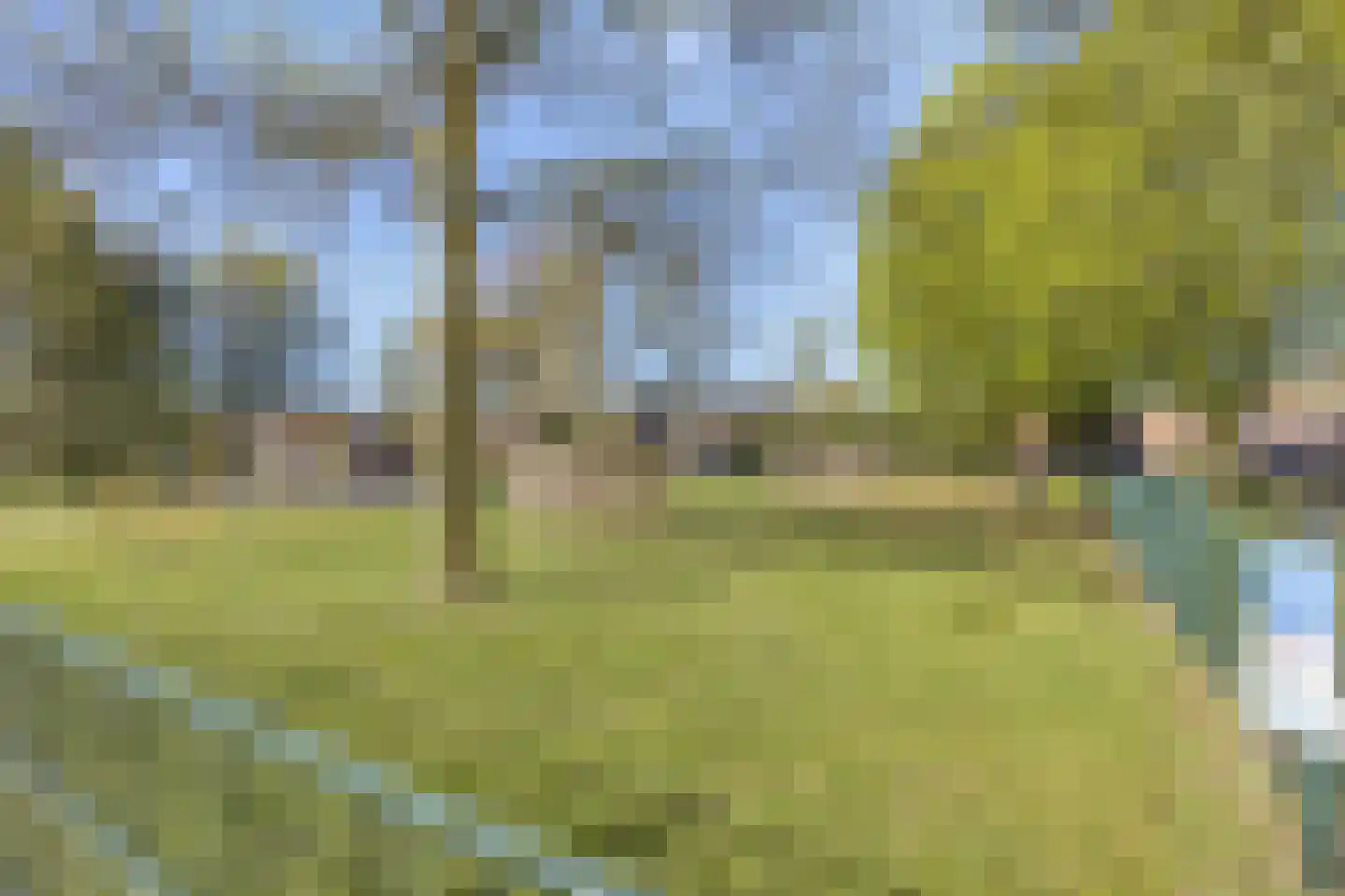 Wezel 59 Veldhoven thumbnail 8