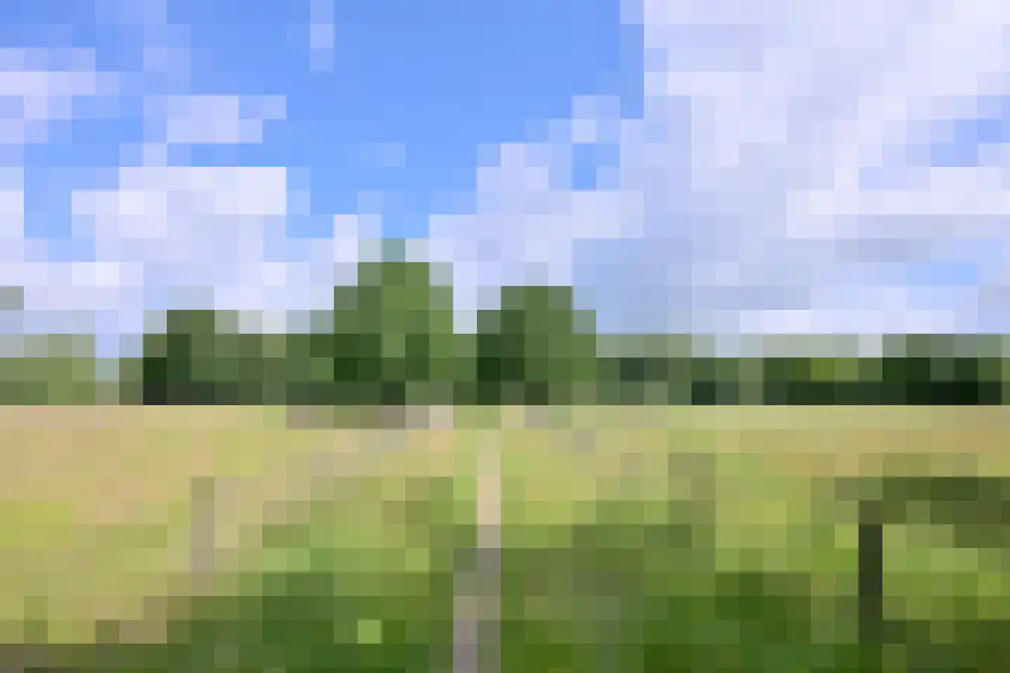 Wezel 7 Deventer thumbnail 33