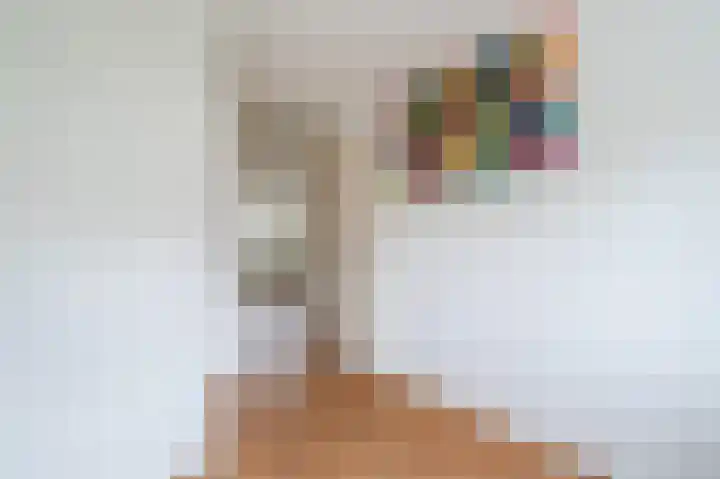 Wezelakker 7 Houten thumbnail 16