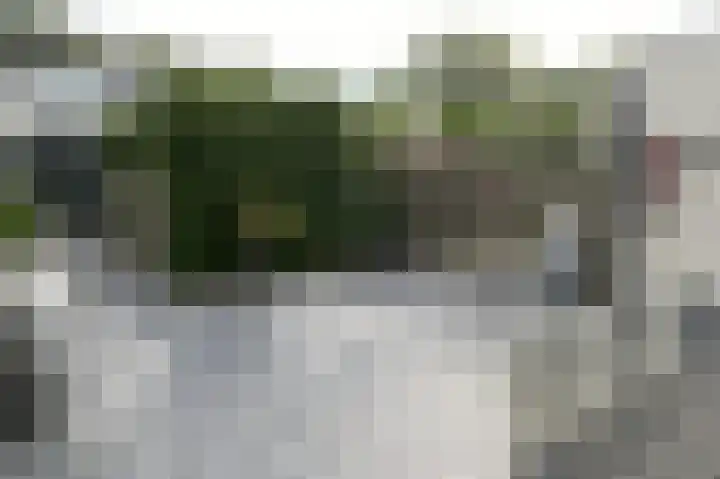 Wezelakker 7 Houten thumbnail 22