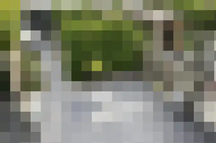 Wezelakker 7 Houten thumbnail 25