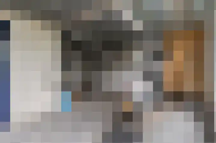 Wezelakker 7 Houten thumbnail 27