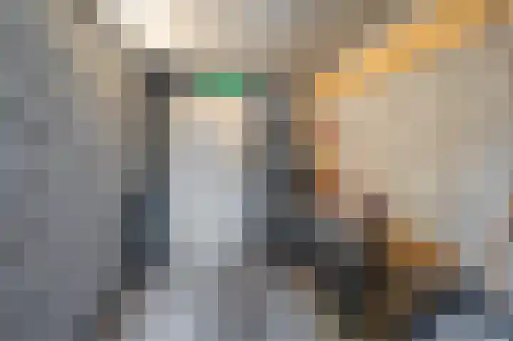 Wezelakker 7 Houten thumbnail 28